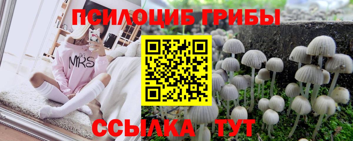 Псилоцибиновые грибы Cubensis Семёнов